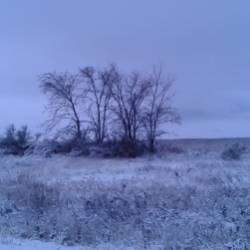 Культура-Снег