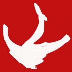 ЛебедиFunk Моsква-Глобусы и карты