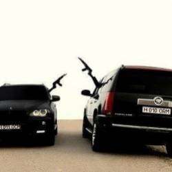 Леонид Минаев-Брат за брата