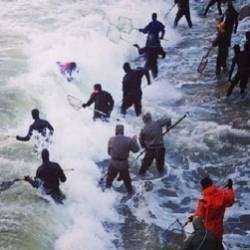 Леонид Минаев-Янтарь