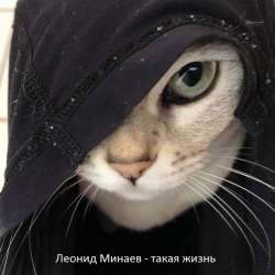Леонид Минаев-такая жизнь