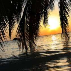 Lunar Kiss-Полет мечты