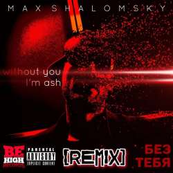 Max Shalomsky-Без Тебя REMIX