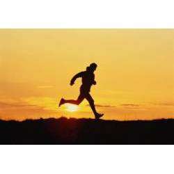 Mixerland - Последний из могикан