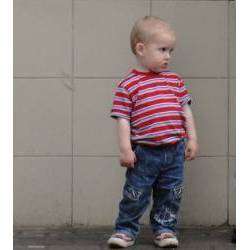 Мо Ли - Я увидел в луже тень. (перегруз)