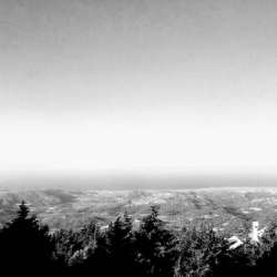 НОВОСТЬ КУЗЬМИЧА-Моя Земля