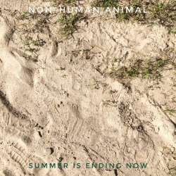 Non-Human Animal-Summer is ending now