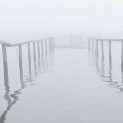 Омуты и верфи-Просыпайся и пой