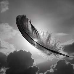 ОэСиКо - Птица