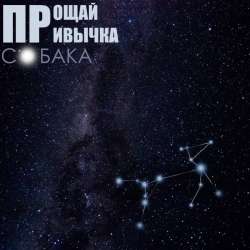 ПРОЩАЙ ПРИВЫЧКА-Собака