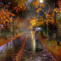 Pasha-Осенний дождь