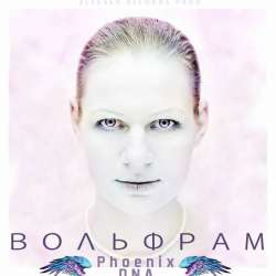 Phoenix DNA-Вольфрам
