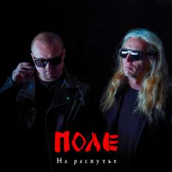 Поле - На распутье