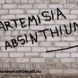 Полынь-Стекает дождь