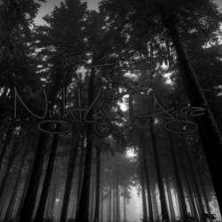 PovOneCHik-Nightly Taiga