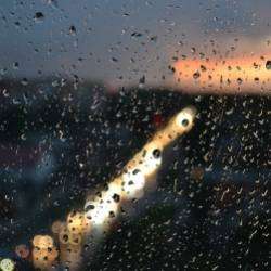 ПротоКультура-Игра ума