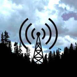 Радио Тёмного Леса-Матрица