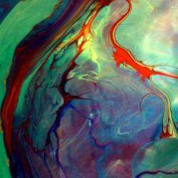 Red Wood-Neuro Dreams