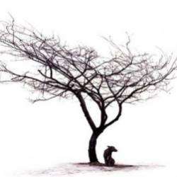 Reverse Reverie-Паранойя