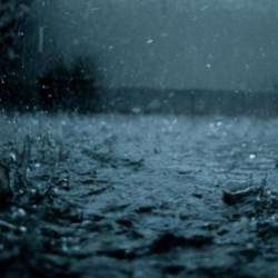 Romeo Stranger-Tears in the Rain