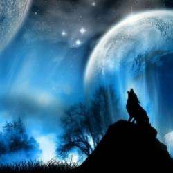 Серега Свободный Белый Волк и DJ Pronikatelгруппа Белые Волки-Под знаменем Волка