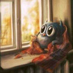 Сергей А Никитин &mdash; Девушки и старые романы