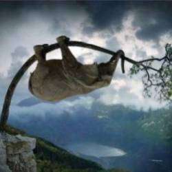 Сергей А. Никитин - Elephant Blues