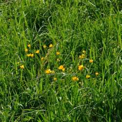 Сергей Мошков-Не оторвать руки нам от руки