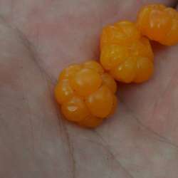 Сергей Мошков-У тебя в ладошке ёжиком морошка