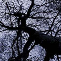 Шумы штормовых широт-Смерть