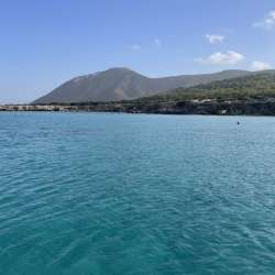 Сообщество Эгон Байков и друзья (СЭБИД)  - Летний сюр