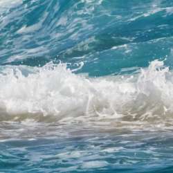 Сообщество Эгон Байков и друзья (СЭБИД)  - Сохрани любовь