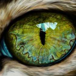 Сообщество Эгон Байков и друзья (СЭБИД) - Скрип, скрип