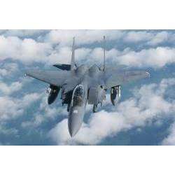 Steve - 16 тонн (сидим мы в баре)