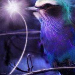 Suita de Ora-Walkin On My Soul