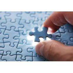 Synthetic Mind - Finishing Touch