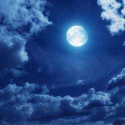 Synthetic Mind-Мoonlight