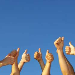 Synthetic Mind-weekend