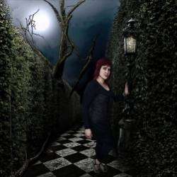 The Fate Of Choice-В лабиринтах моей души