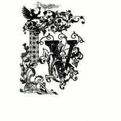 Vagenburg Of Arteries-Black Forest