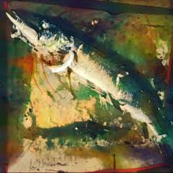 VeraNacii Vaxy IvaNNo - Okyni v Borjomi