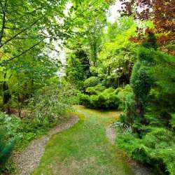 Вокал Ольга ИвахненкоOliva Гитара Соловьев Олегolsolof СтихиRFT Музыка Соловьев Олегolsolof-Без меня