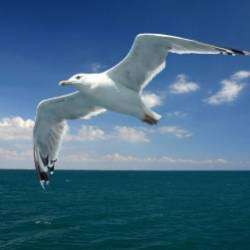 YMay-Наши гороскопы