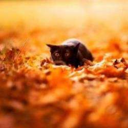 Юлия Ключарёва - Вернись