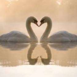 Юлия Ключарёва-Нет тебя дороже