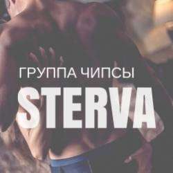 группа Чипсы-STERVA