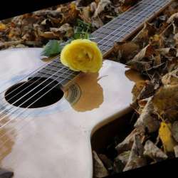 Сергей Стадник - Рассветная Любовь муз, сл., исп. - Сергей Стадник, аранж. - Виталий Рубан