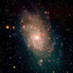 Pasha-Альфа-омега