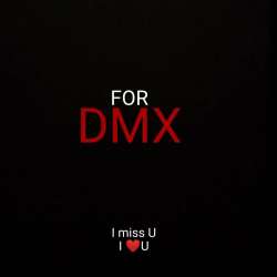 Max Shalomsky-FOR DMX