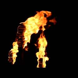 VITA-Ночь перед бурей